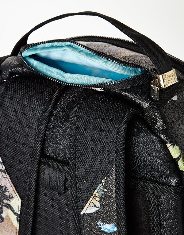 GLOBAL MONEY BACKPACK