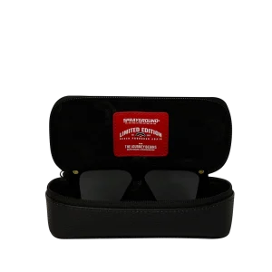 AMERICAN AIRLINES MAXIMUM ALTITUDE AVIATOR CASE