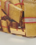 GOLD MONEY BRICKS DLXV BACKPACK
