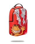 GARFIELD CAT SCRATCH (DLXR)
