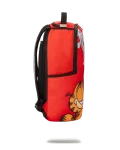 GARFIELD CAT SCRATCH (DLXR)