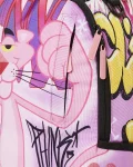PINK PANTHER ON THE RUN (DLXR)