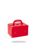 SOULJA BOY JEWELRY CASE
