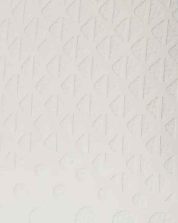 THE FUTURE PROXIMO DLXSV BACKPACK