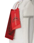 THE FUTURE PROXIMO DLXSV BACKPACK