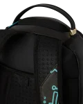 COMPASS TO THE FUTURE