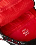 SKY HIGH SEEKERS ARCTIC DELUXE BACKPACK