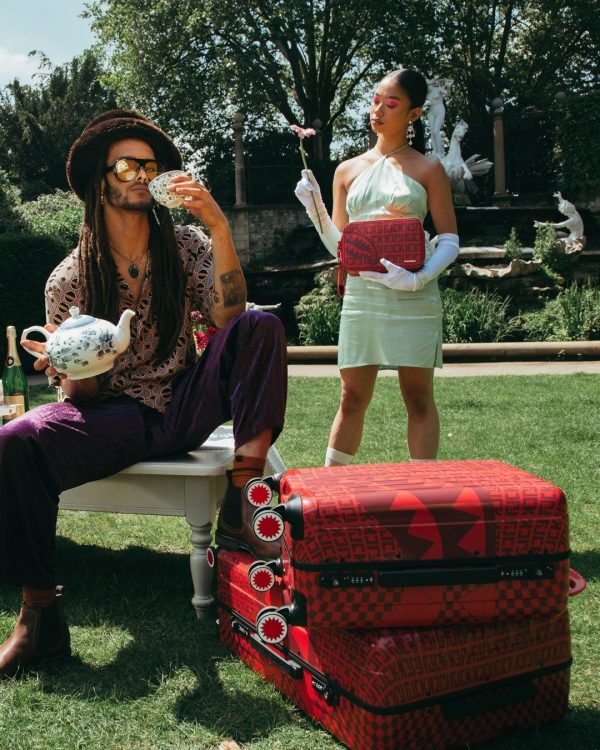 VENI VIDI VICI LUGGAGE