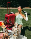 VENI VIDI VICI LUGGAGE