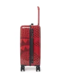 VENI VIDI VICI LUGGAGE