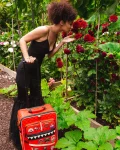 THE GLOBAL EXPEDITION JETSETTER CARRY-ON LUGGAGE