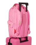 SORBET STUNNA SHARKITECTURE HARDSHELL CARRY-ON LUGGAGE