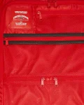 EXTERIOR GOLD ZIP POCKET SHARKS IN PARIS JETSETTER CARRY-ON LUGGAGE