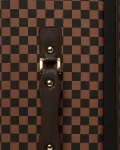 EXTERIOR GOLD ZIP POCKET SHARKS IN PARIS JETSETTER CARRY-ON LUGGAGE