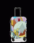 FRANK LLOYD WRIGHT COLLAB FROZEN SPHERES LUGGAGE