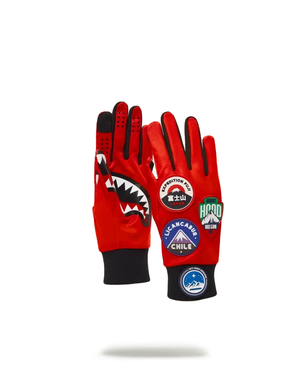THE GLOBAL EXPEDITION GLOVES