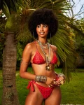 VENI. VIDI. VICI BIKINI