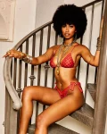 VENI. VIDI. VICI BIKINI