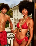 VENI. VIDI. VICI BIKINI