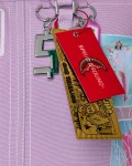 PASSPORT TO PARADISE TOTE