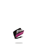 $NAPDRAGON WALLET