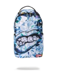 SPENSIVE BACKPACK