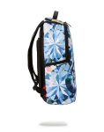 SPENSIVE BACKPACK