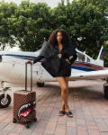 THE HIDEOUT HARD SHELL CARRY-ON LUGGAGE