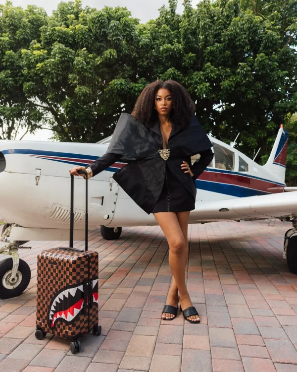 THE HIDEOUT HARD SHELL CARRY-ON LUGGAGE