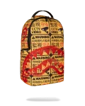 CCTV SECTOR 404 BACKPACK