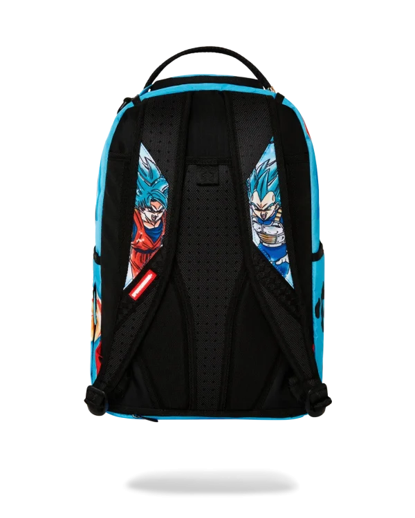 DRAGON BALL Z SUPER SAIYAN BLUE GOKU AND VEGETA