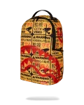 CCTV SECTOR 404 BACKPACK