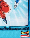 DRAGON BALL Z SUPER SAIYAN BLUE GOKU AND VEGETA
