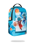 DRAGON BALL Z SUPER SAIYAN BLUE GOKU AND VEGETA