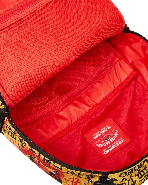 CCTV SECTOR 404 BACKPACK