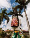 PINK PANTHER CAN'T CATCH ME DLXR BACKPACK