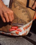 OVERNIGHT DELIVERY BACKPACK