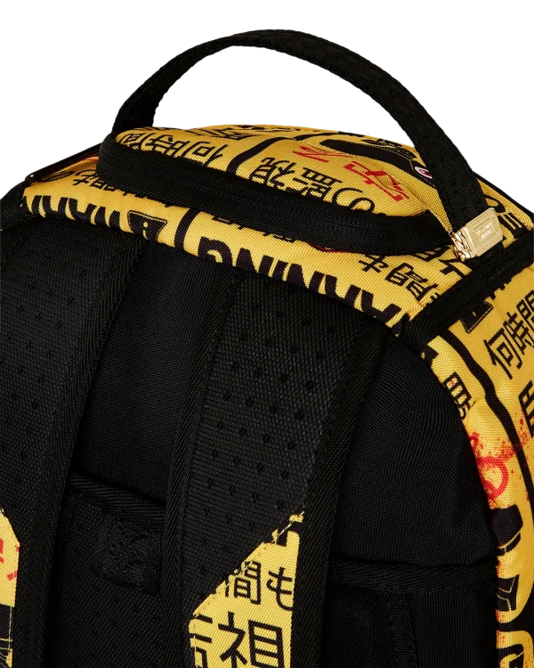 CCTV SECTOR 404 BACKPACK