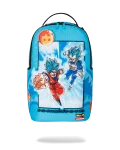 DRAGON BALL Z SUPER SAIYAN BLUE GOKU AND VEGETA