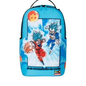 DRAGON BALL Z SUPER SAIYAN BLUE GOKU AND VEGETA
