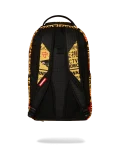 CCTV SECTOR 404 BACKPACK