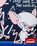 PINKY AND THE BRAIN TAKIN OVER THE WORLD DLXR BACKPACK